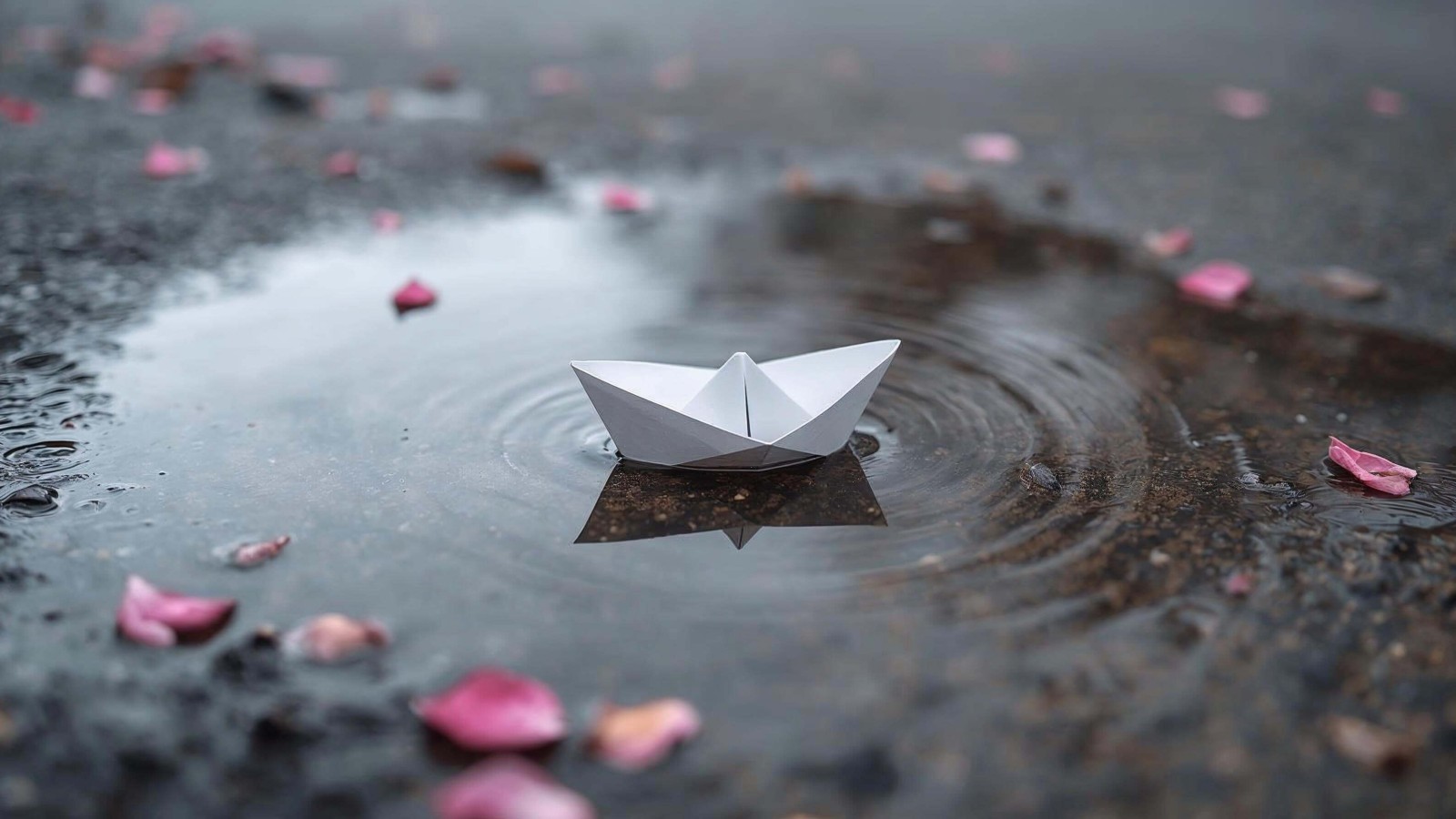 Image by Akshay on Q DEPART